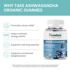 Himalaya Ashwagandha Gummies serving on a dish suggests easy daily routine.