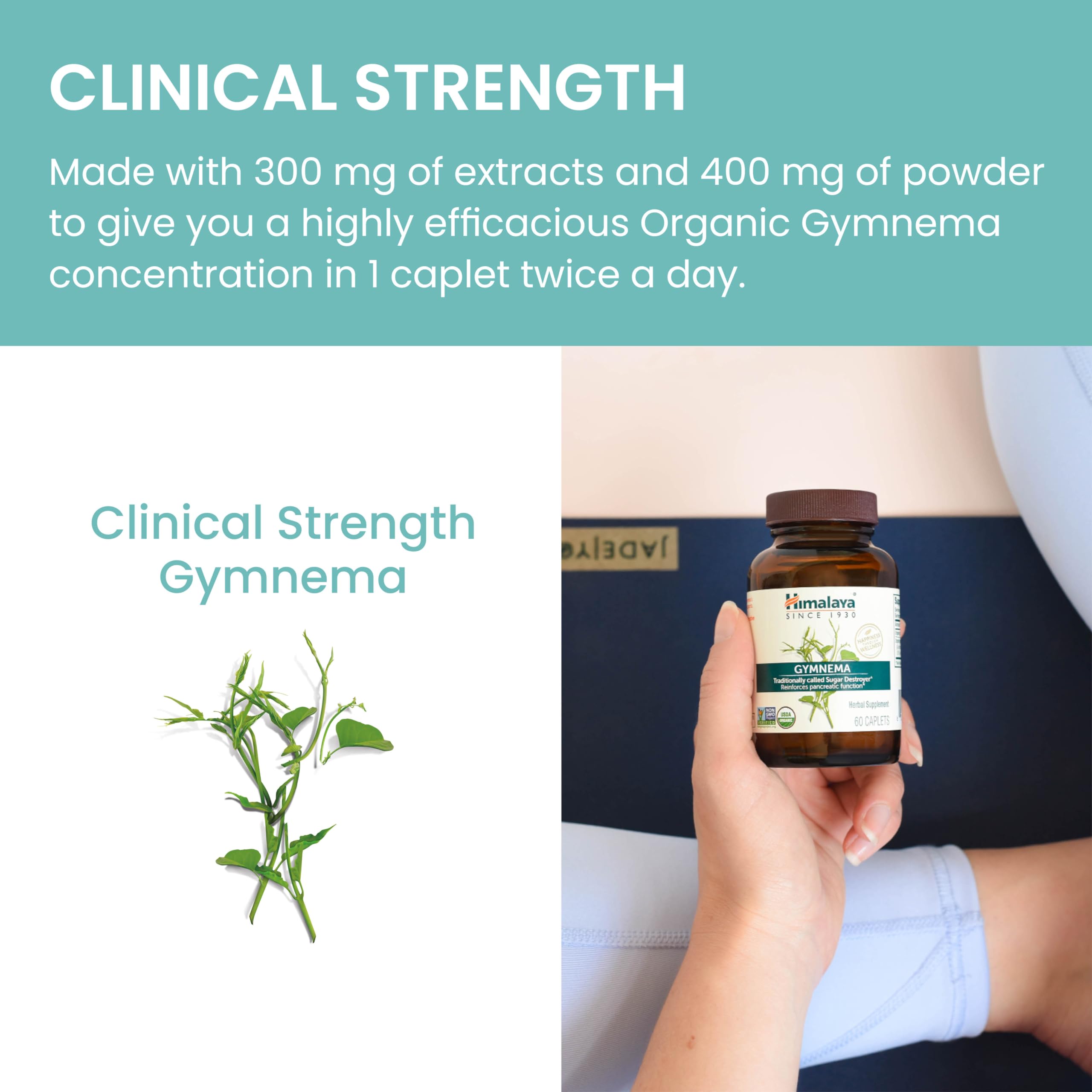 Himalaya brand family-owned legacy signals trusted herbal care.