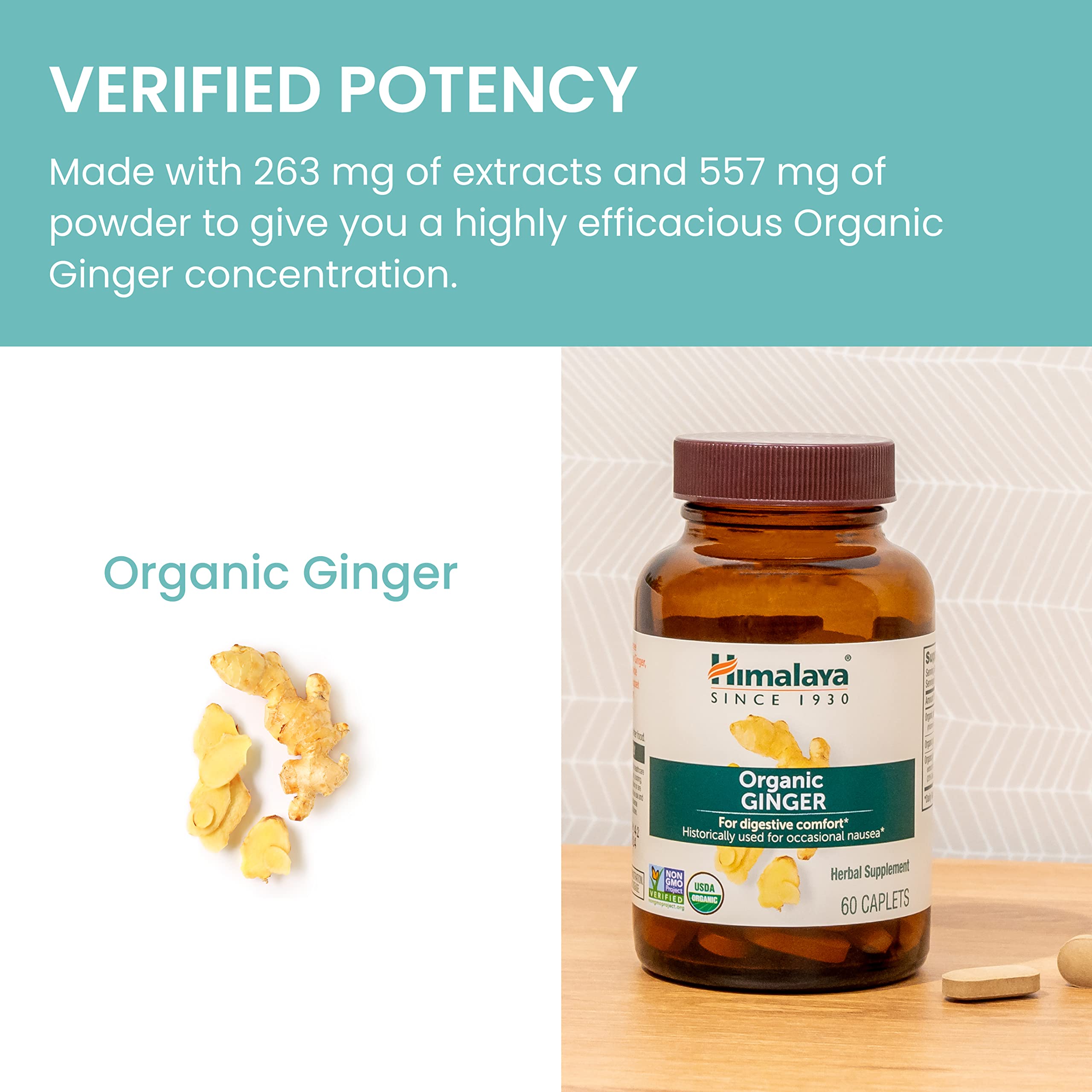 Himalaya Ginger capsules in a daily-use setup for ongoing digestion support.