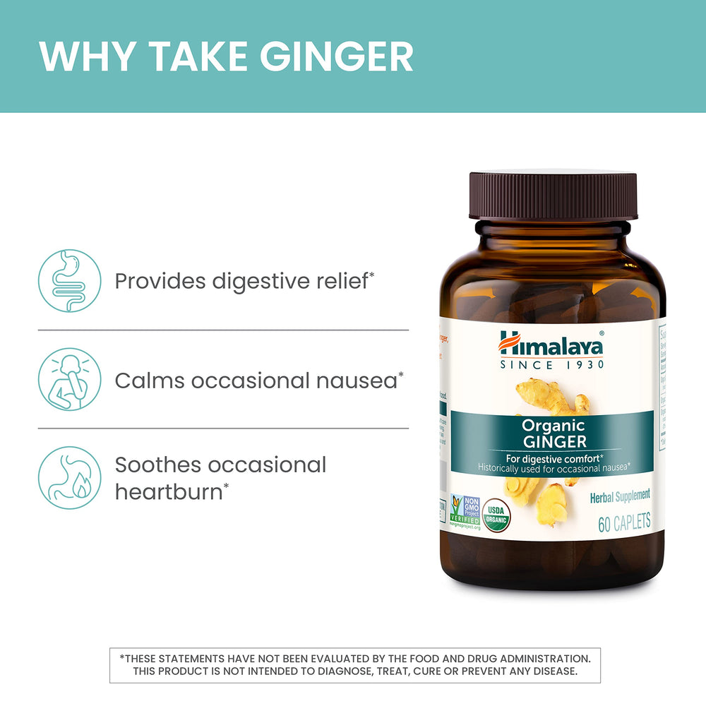 Himalaya Ginger root close-up suggests natural nausea relief options.