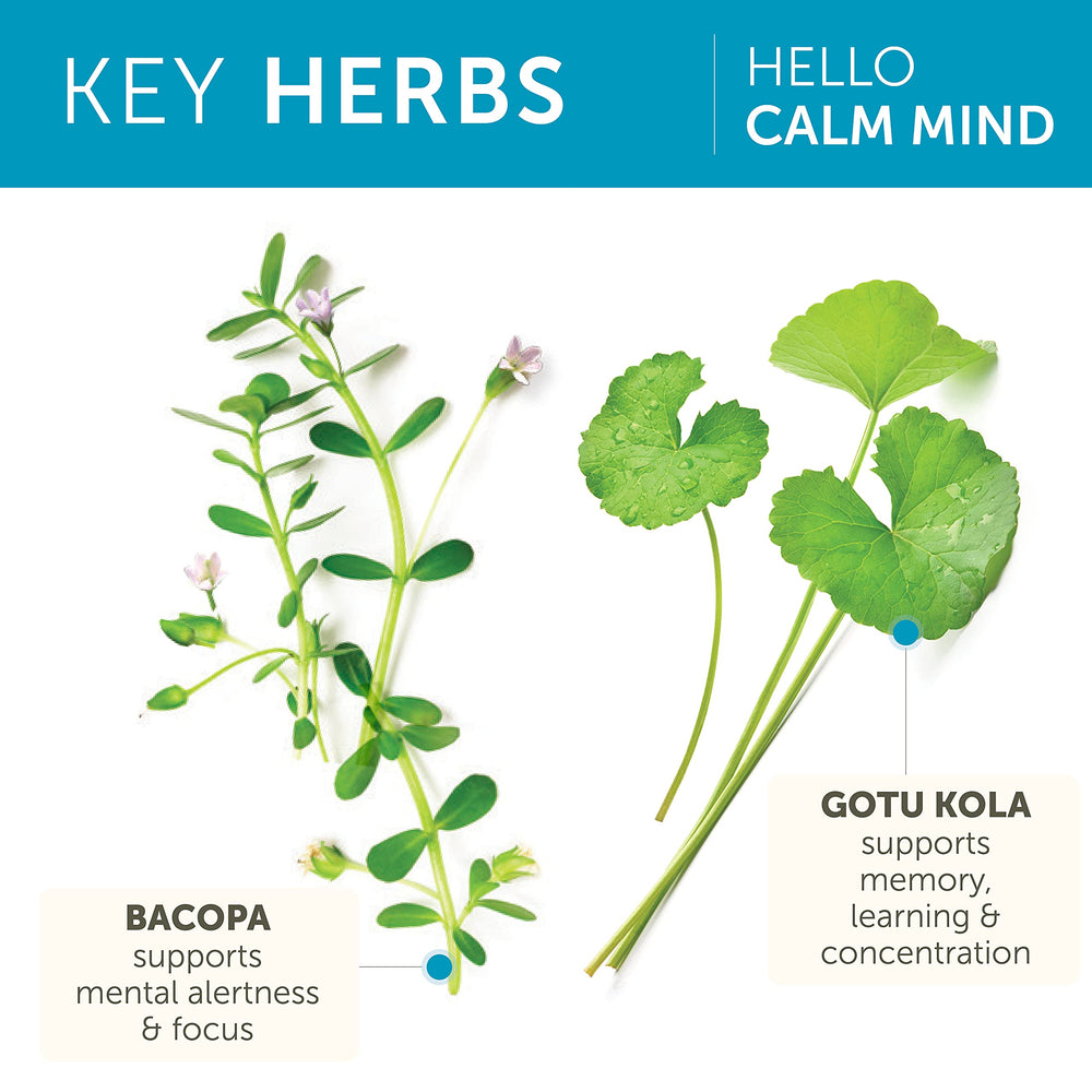 Himalaya Hello Calm Mind gotu kola visual supporting cognitive clarity