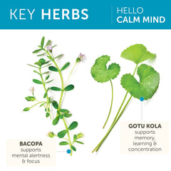 Himalaya Hello Calm Mind gotu kola visual supporting cognitive clarity