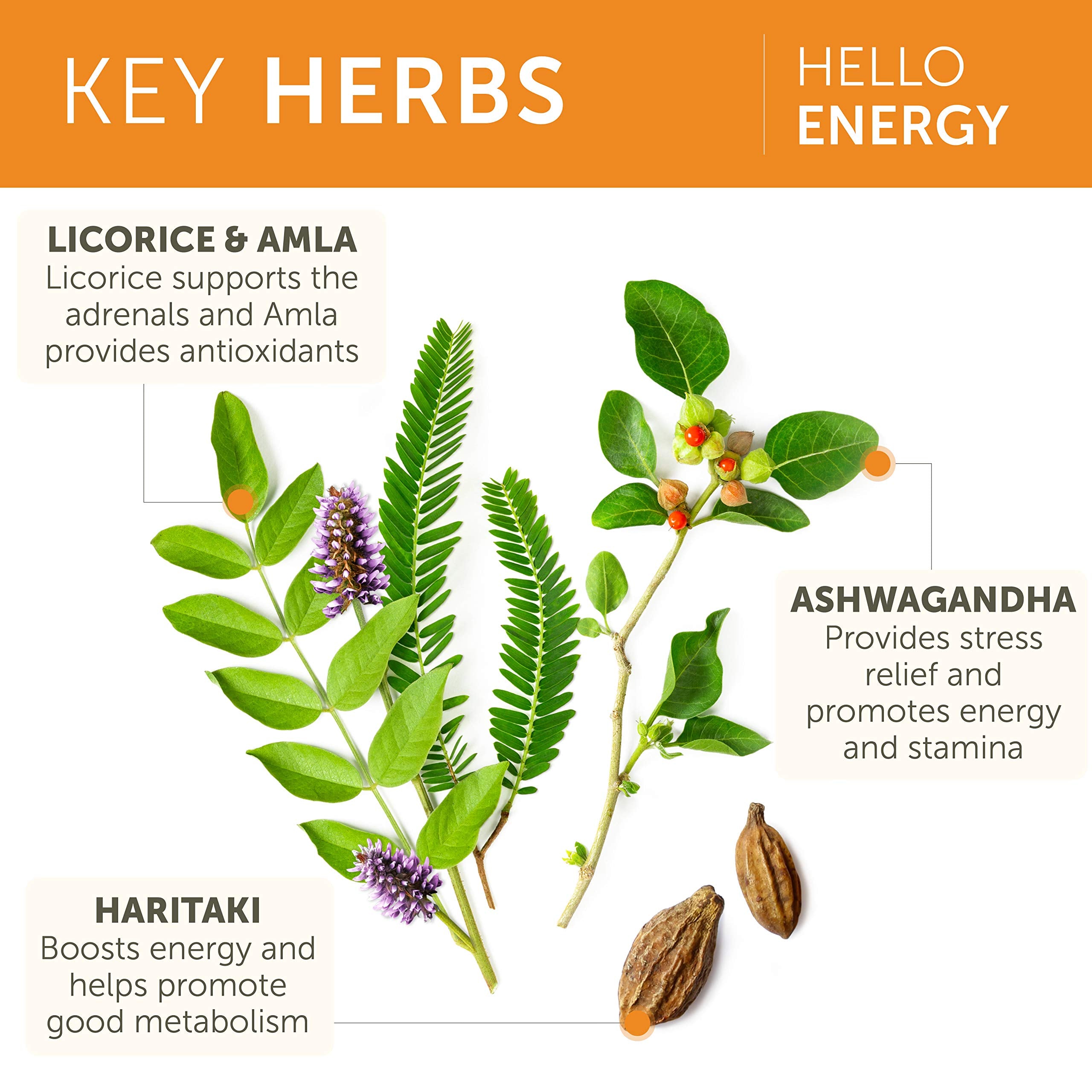 Himalaya Hello Energy in morning routine setting for steady productivity.