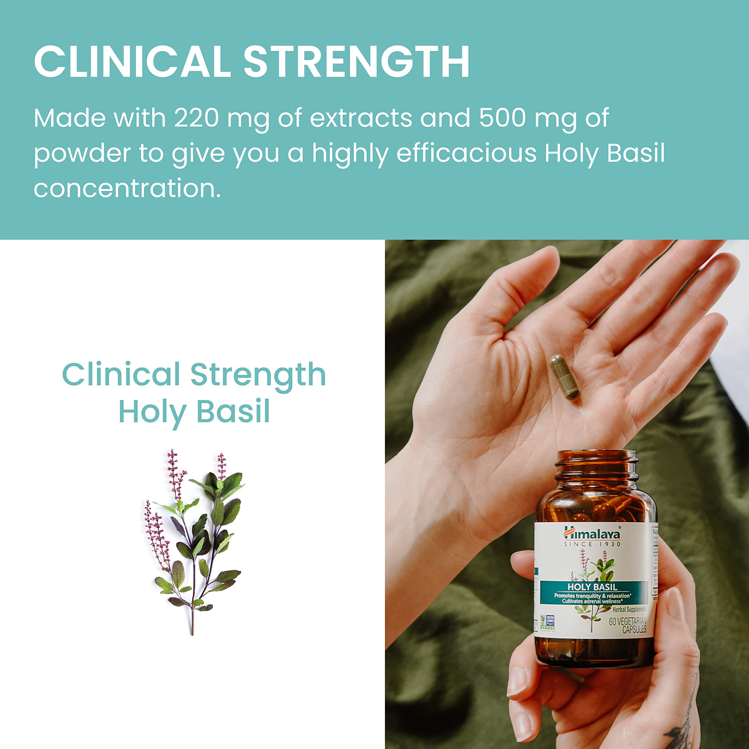 Himalaya Holy Basil travel pack ready for on-the-go stress support.