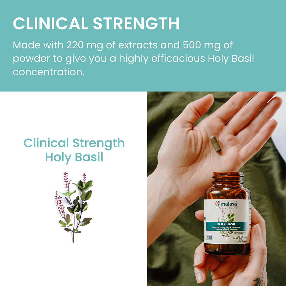 Himalaya Holy Basil travel pack ready for on-the-go stress support.