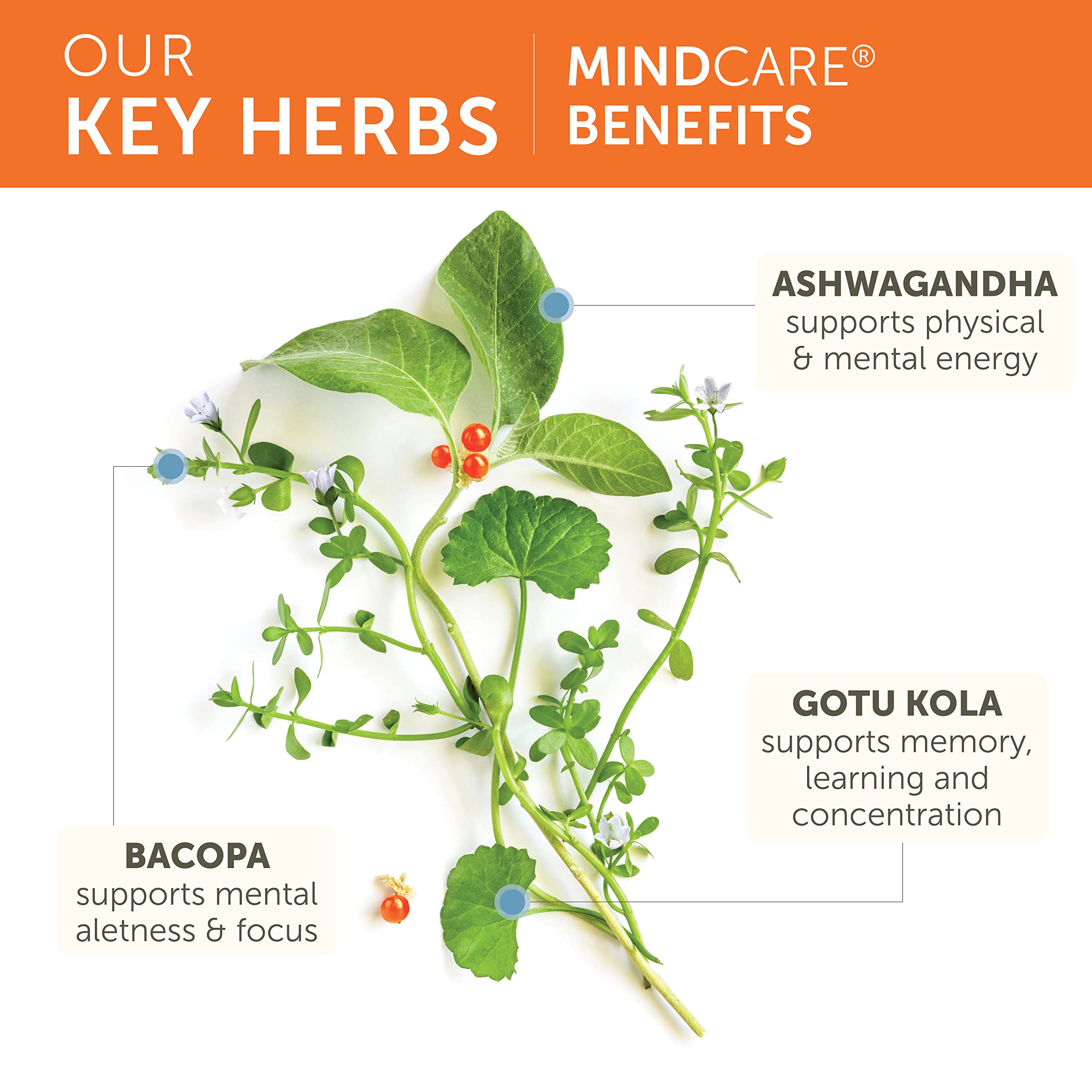 Himalaya MindCare bottle being poured for daily use.