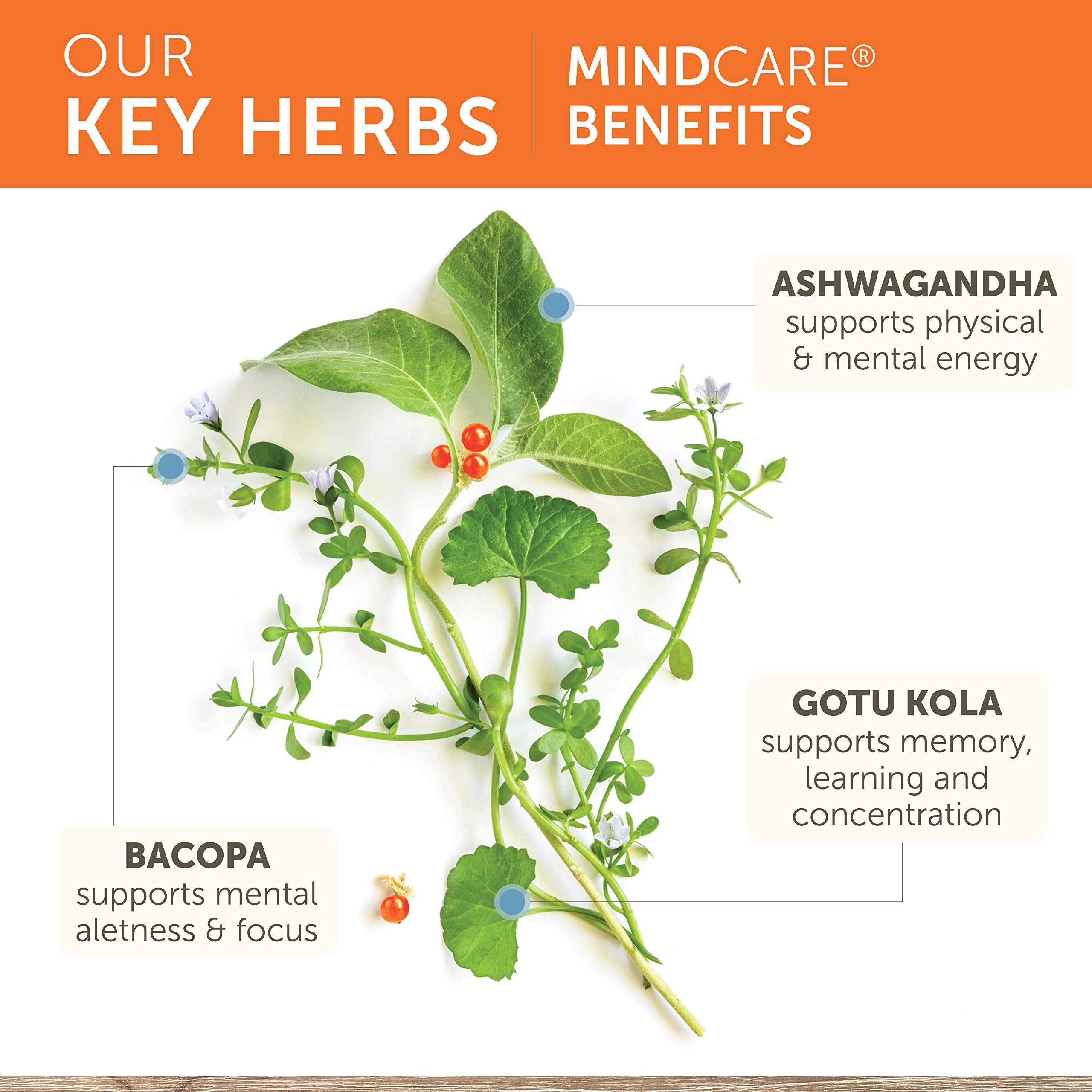 Himalaya MindCare packaging box highlights Ayurveda-inspired ingredients