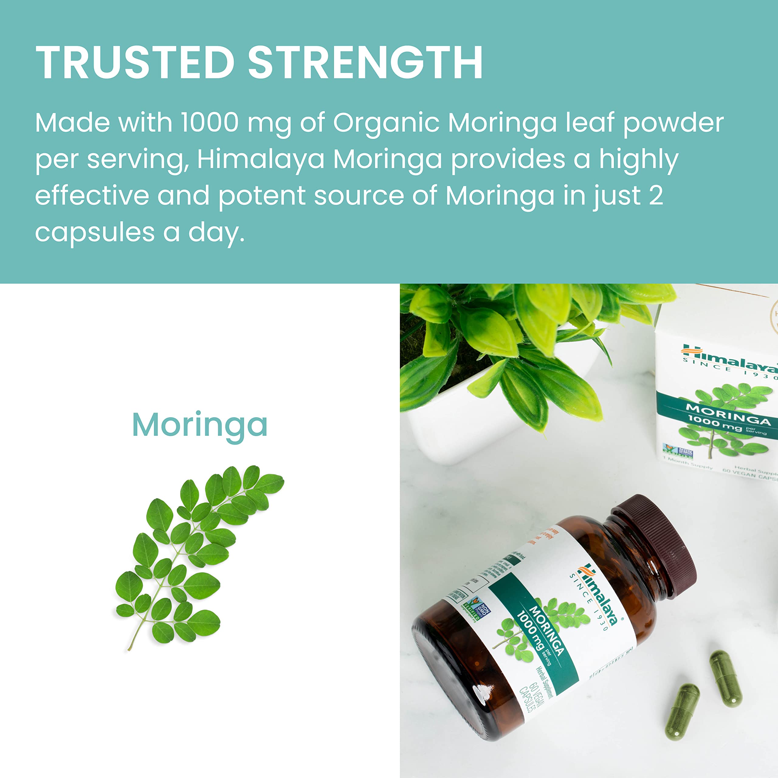 Himalaya Moringa bottle beside a glass of water for easy daily routine.