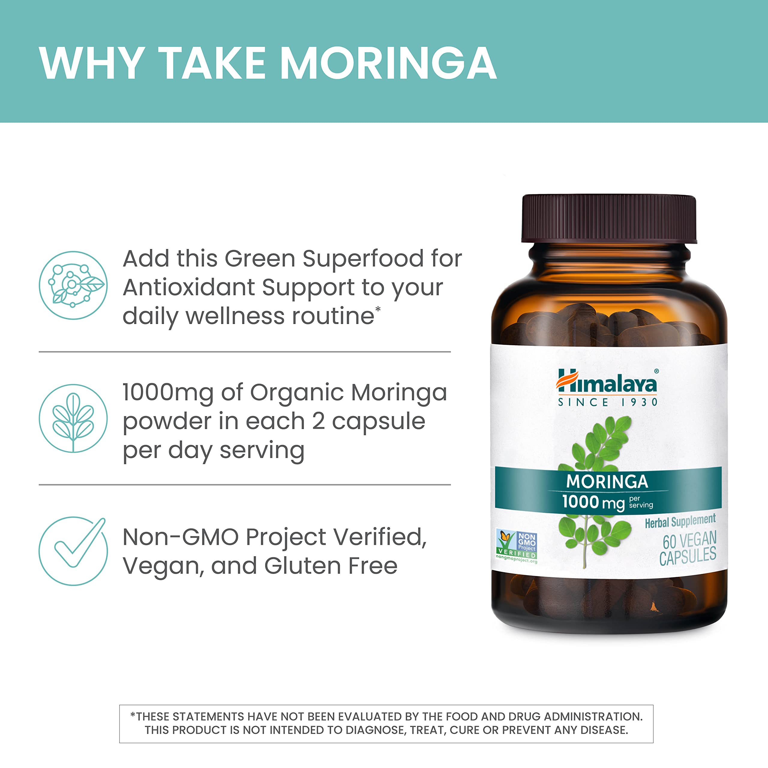 Himalaya Moringa moringa leaves on tree show natural source.