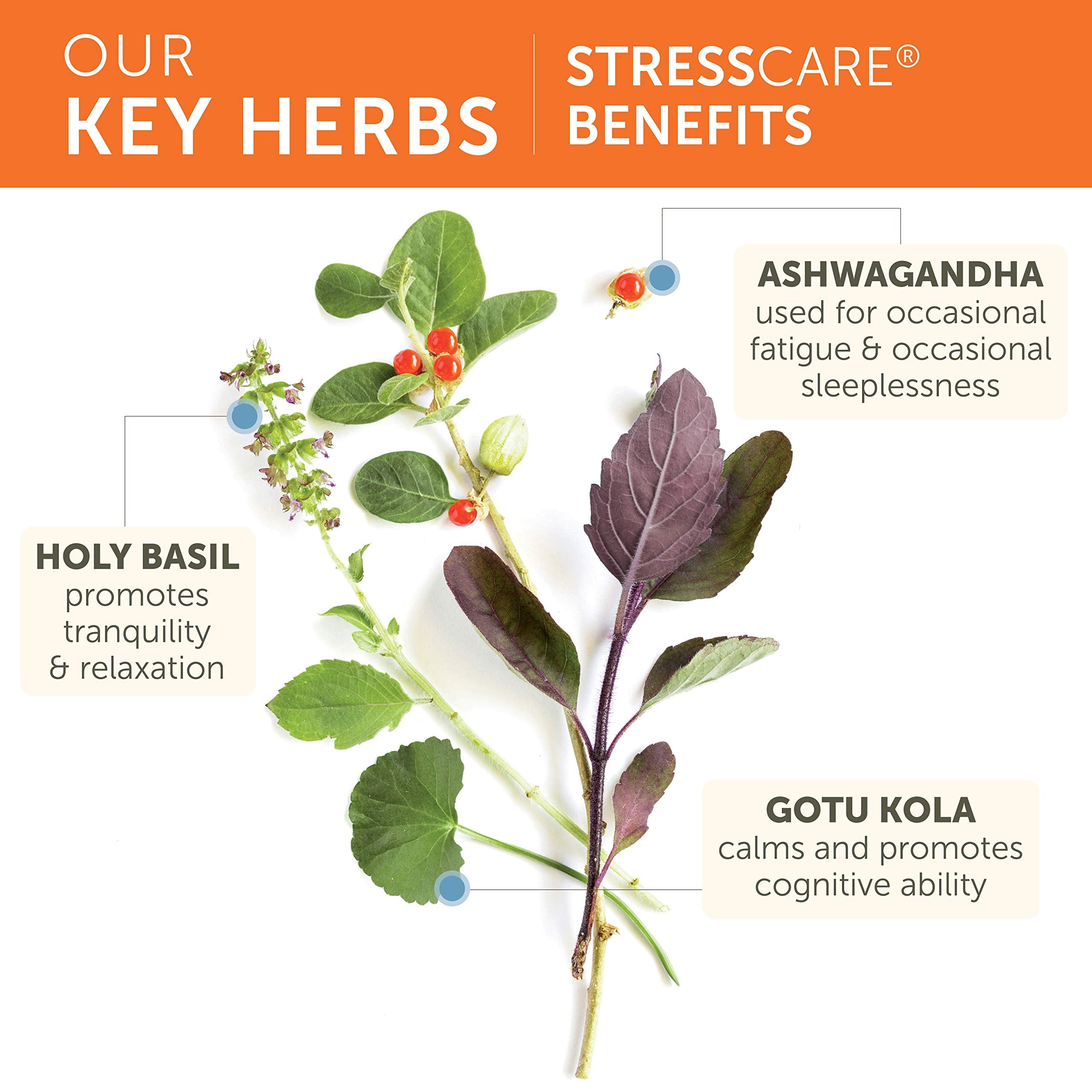 Himalaya StressCare packaging label highlighting Ayurvedic blend for balance