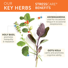 Himalaya StressCare packaging label highlighting Ayurvedic blend for balance