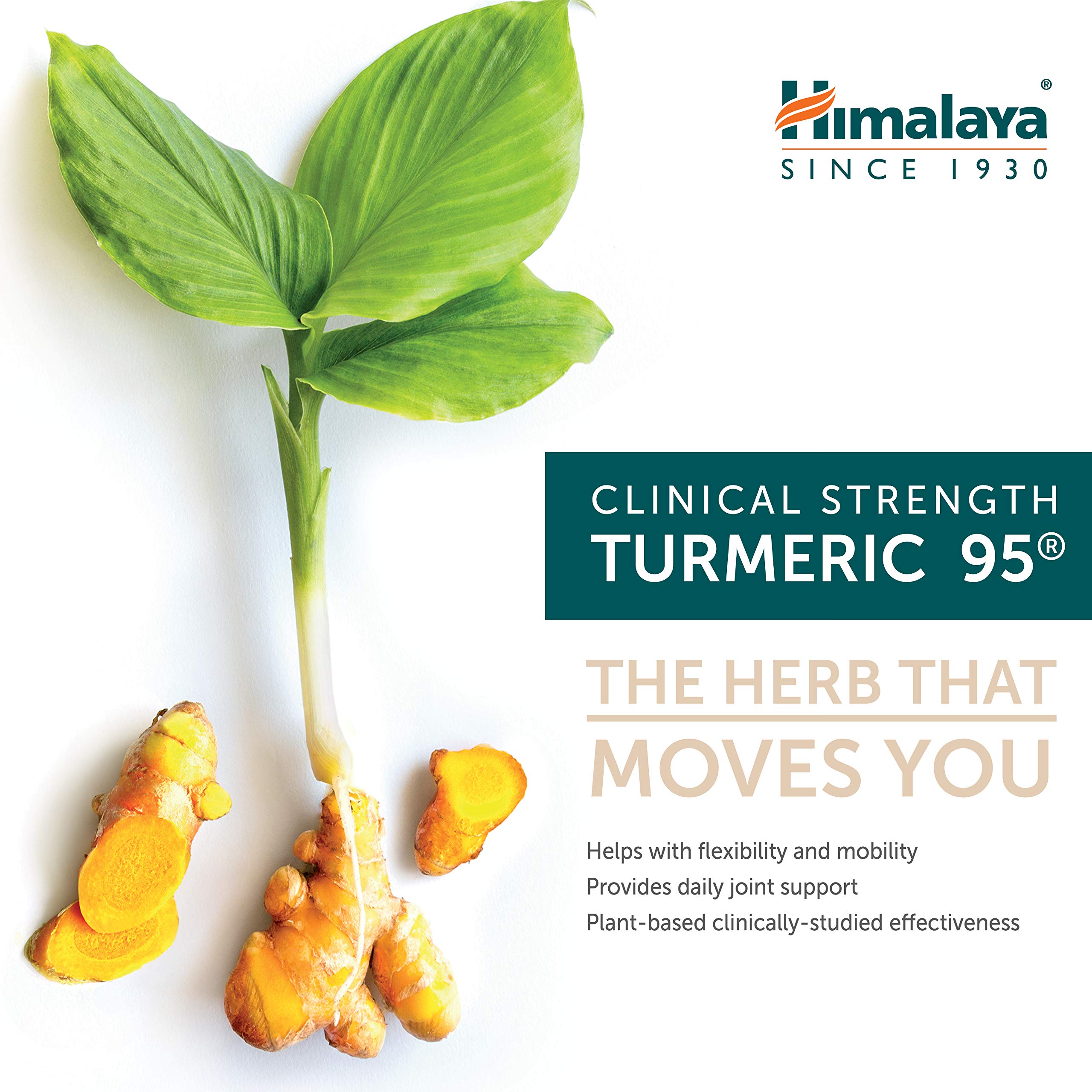Himalaya Turmeric 95 packaging front with vegan and gluten-free icons