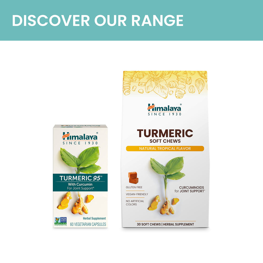 Himalaya Turmeric 95 turmeric rhizome detail indicating natural sourcing
