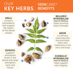 Himalaya Veincare daily routine use image suggests easy incorporation