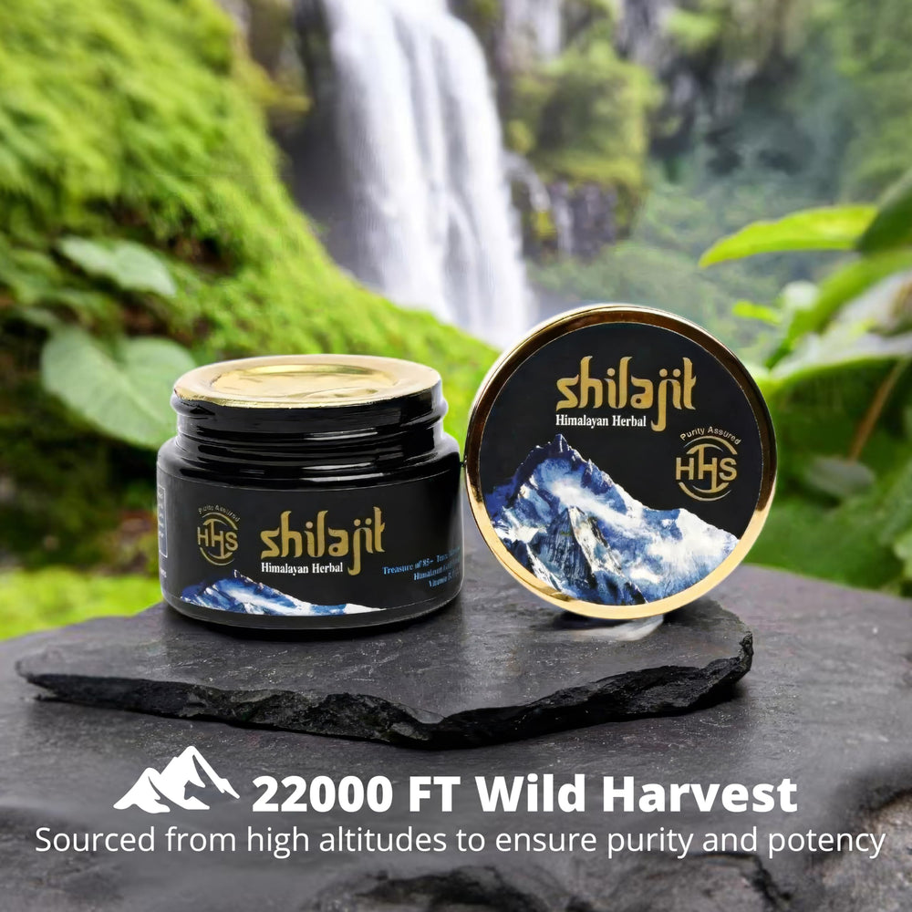 Himalayan Herbal Shilajit resin close-up texture signaling mineral rich energy