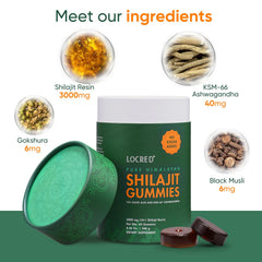 No added sugar label visible on Himalayan Shilajit Gummies bottle for clean taste.