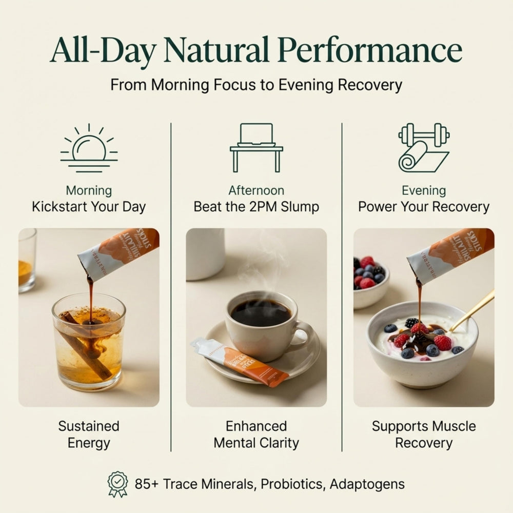 HIMĀTERRA Shilajit Honey Sticks after workout recovery option.
