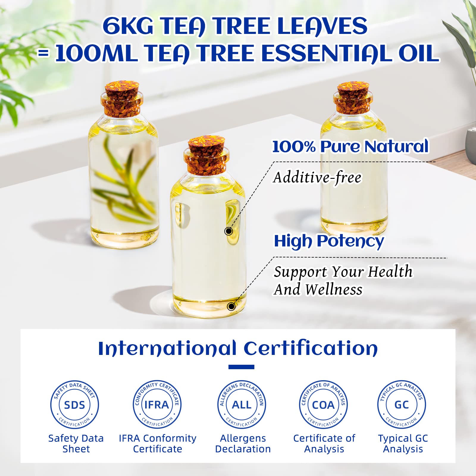 HIQILI Tea Tree Oil DIY ideas for home care projects.