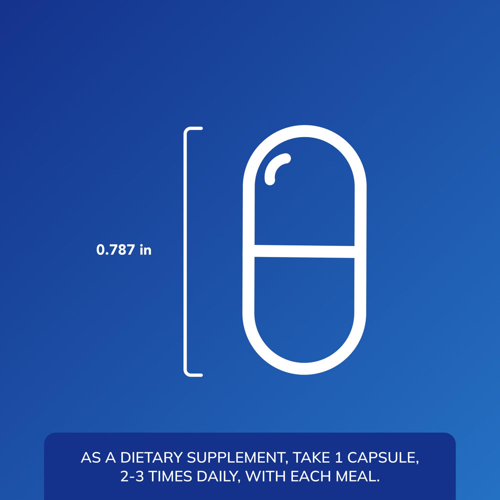 Illustration of histamine digestion support and post-meal comfort concept.