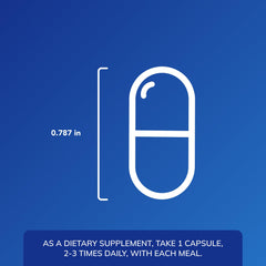 Illustration of histamine digestion support and post-meal comfort concept.