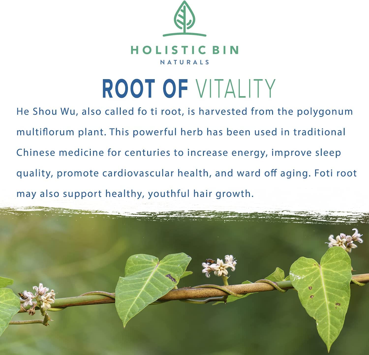 Holistic Bin Fo Ti root powder packaging highlights pure, non-GMO supplement options.