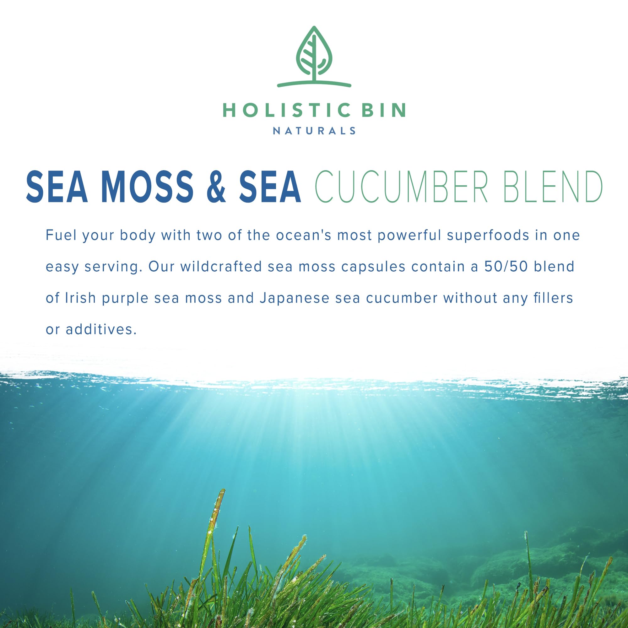 Holistic Bin sea cucumber capsules closeup for collagen support