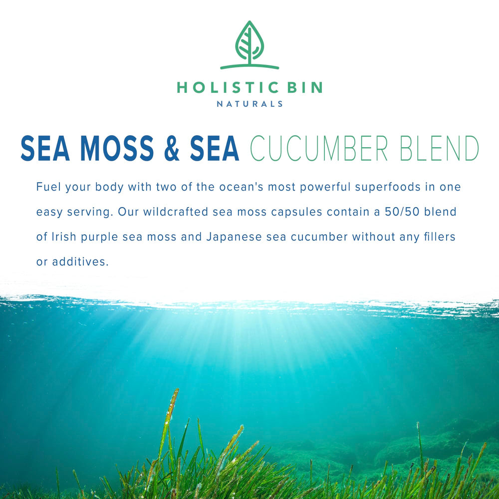 Holistic Bin sea cucumber capsules closeup for collagen support