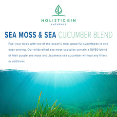 Holistic Bin sea cucumber capsules closeup for collagen support