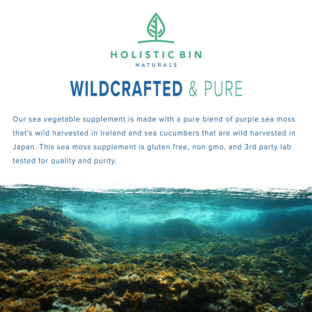 Holistic Bin sea cucumber capsules pour showing capsule texture