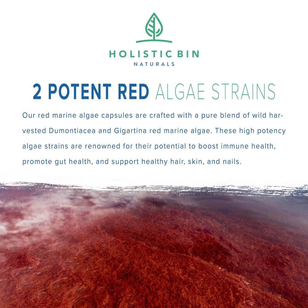 Holistic Bin wild-harvested Dumontiacea algae close-up highlighting potency