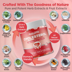 HOLLEGEND Cholesterol Gummies packaging emphasizes vegan, sugar-free formula.