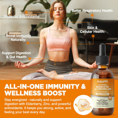 HOLLEGEND ingredients list highlights zinc, vitamin C, elderberry, turmeric.