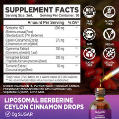 HOLLEGEND Liposomal Berberine Drops pour showing easy daily dosing