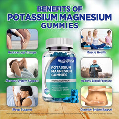 Close-up of HOLLEGEND gummies emphasizing vegan non-GMO ingredients for wellness