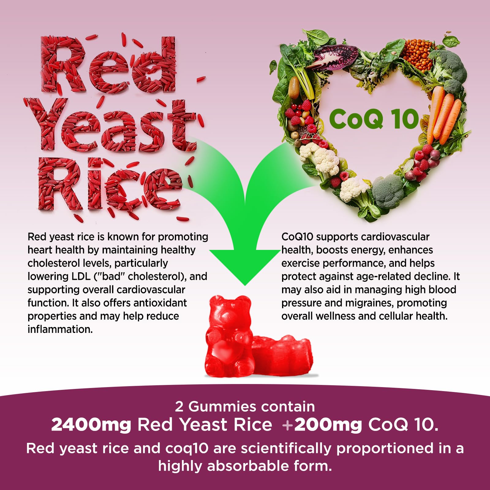 HOLLEGEND red yeast rice + CoQ10 chew with 200 mg CoQ10 per serving for antioxidant support
