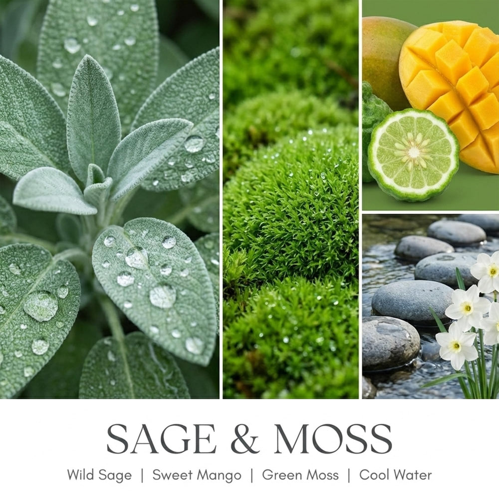 Home Lights Sage & Moss soy wax note highlights clean burn and eco-friendly choice.