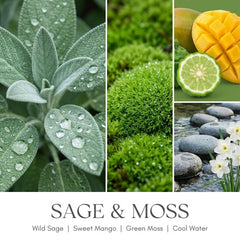 Home Lights Sage & Moss soy wax note highlights clean burn and eco-friendly choice.