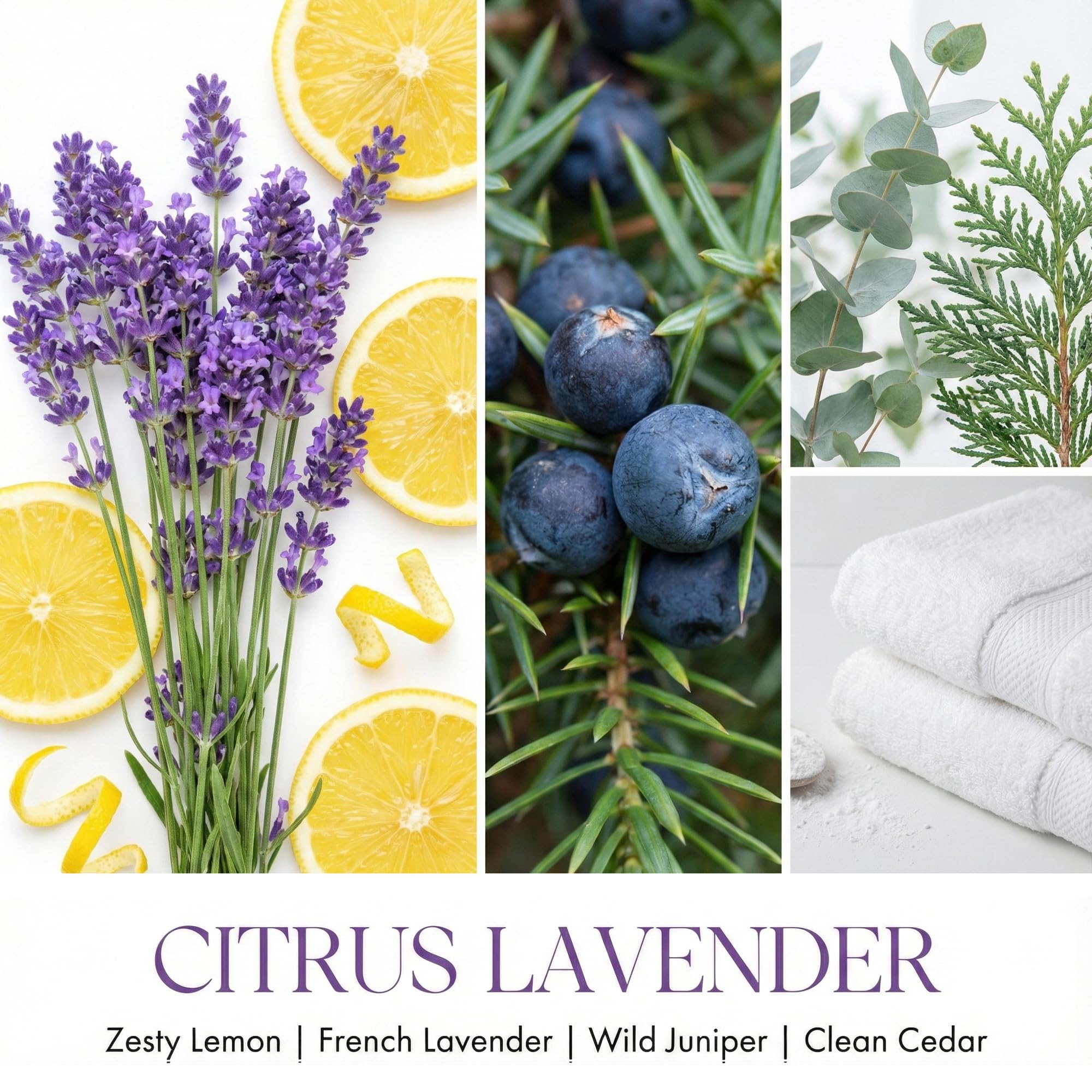 Home Lights Citrus Lavender candle jar top view highlights premium fragrance oils.