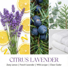 Home Lights Citrus Lavender candle jar top view highlights premium fragrance oils.