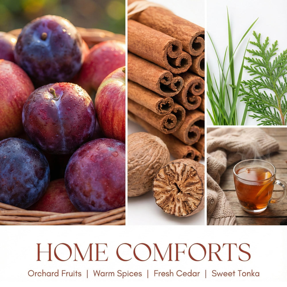 Home Lights fragrance notes juicy fruity top for fresh ambiance.