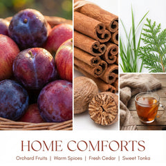 Home Lights fragrance notes juicy fruity top for fresh ambiance.