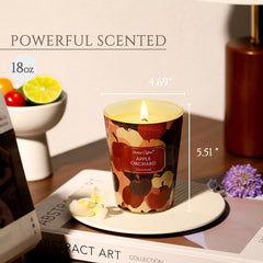 Home Lights soy wax candle delivers a clean burn for cozy evenings.