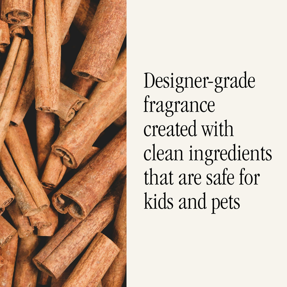Homesick fragrance collection closeup highlighting nostalgic scents