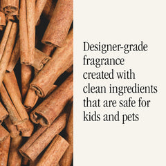 Homesick fragrance collection closeup highlighting nostalgic scents