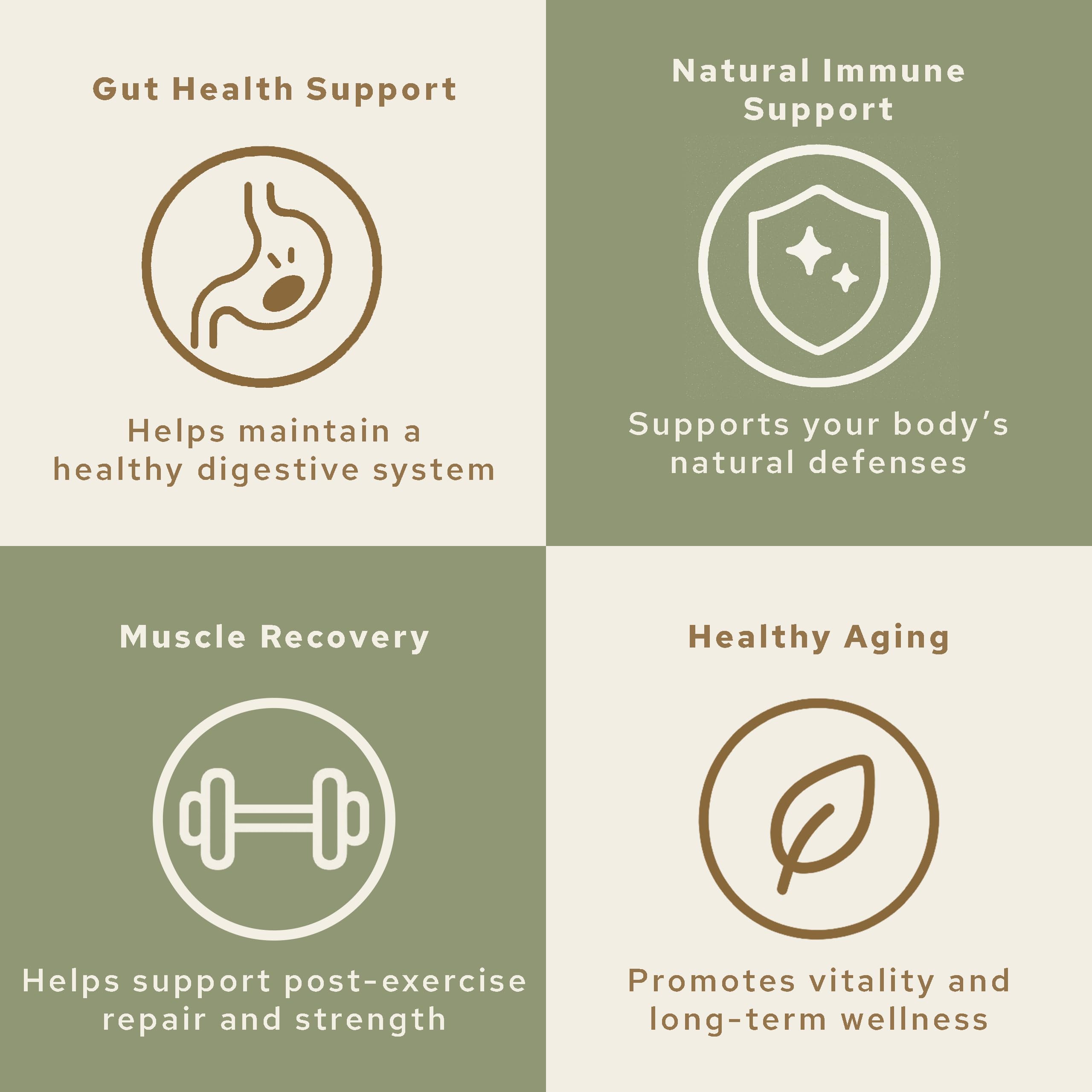 HONOR Colostrum powder shown with traditional nutrition roots for daily nourishment