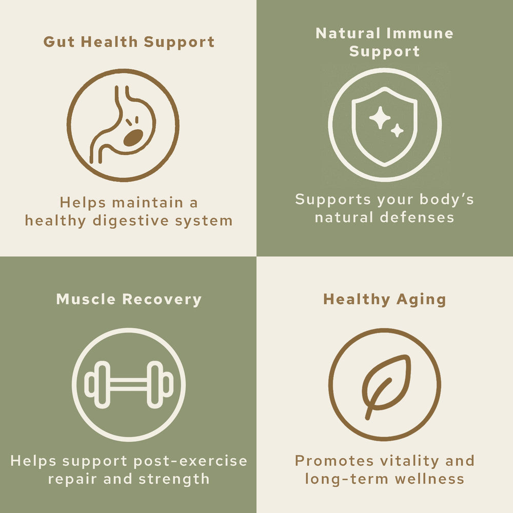 HONOR Colostrum powder shown with traditional nutrition roots for daily nourishment