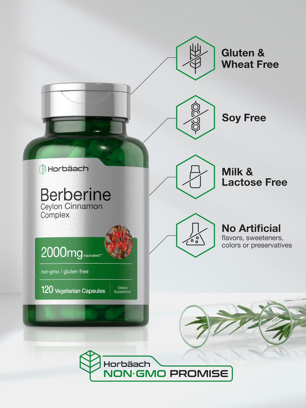 Horbaach Berberine Cinnamon packaging box reflects quality and transparency.