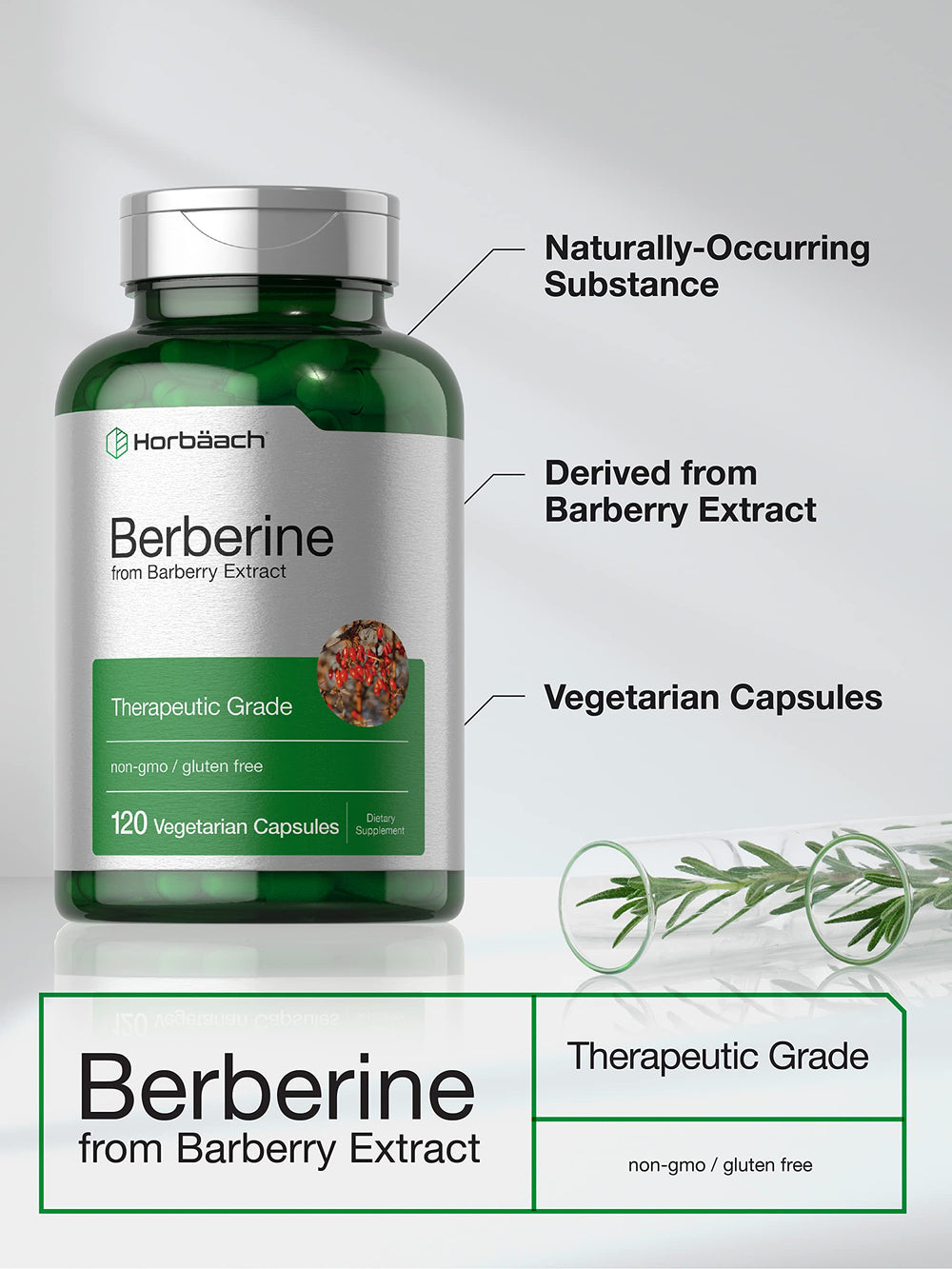 Barberry extract imagery highlights natural Berberine source from Horbaach