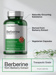Barberry extract imagery highlights natural Berberine source from Horbaach