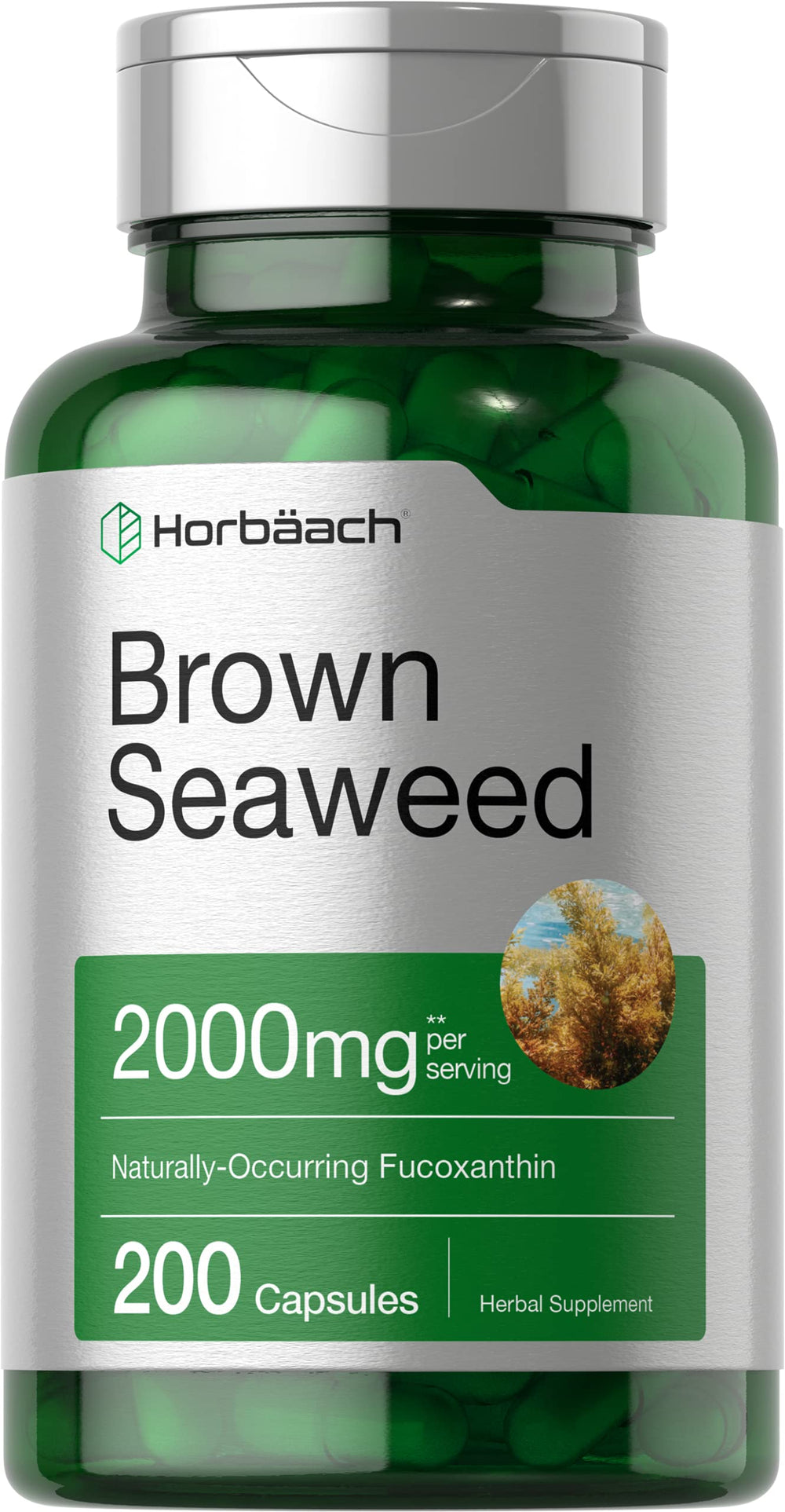 Horbäach Brown Seaweed Extract capsules packaging shows potency and quality.